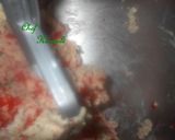 Foto del paso 1 de la receta: Galletas Festivas Navideñas Variadas