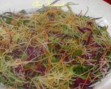 Foto del paso 4 de la receta: Ensalada orgánica de gambas con flores comestibles