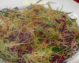 Foto del paso 4 de la receta: Ensalada orgánica de gambas con flores comestibles