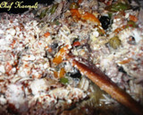 Foto del paso 1 de la receta: Pava Silvestre Alcaparrada al Txacolí