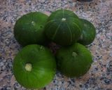 Foto del paso 1 de la receta: Zapallitos rellenos con pollo y paleta cocida