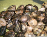 Foto del paso 1 de la receta: Almejas reales al cava