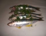 Foto del paso 2 de la receta: Sardinas en papillote al microondas