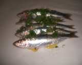 Foto del paso 2 de la receta: Sardinas en papillote al microondas