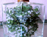 Foto del paso 1 de la receta: Vinagre balsámico de tomillo en flor