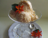 Foto del paso 4 de la receta: Helado de melocotón y damascos (albaricoques) que hacía mi mamá