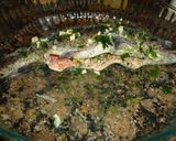 Foto del paso 2 de la receta: Trucha asada en microondas
