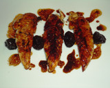 Foto del paso 4 de la receta: Solomillos de pollo al Malbec