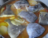 Foto del paso 7 de la receta: Sargo a la gallega