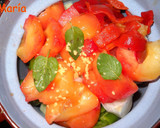 Foto del paso 1 de la receta: Gazpacho de ciruelas rojas
