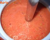 Foto del paso 2 de la receta: Gazpacho de ciruelas rojas