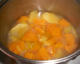 Foto del paso 1 de la receta: Crema de calabaza al curry de Madras