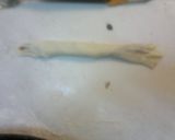 Foto del paso 9 de la receta: L' ASABE EL ARUS (Los Deditos de novia)