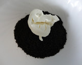 Foto del paso 2 de la receta: Trufas de Oreo, Philadelphia y chocolate