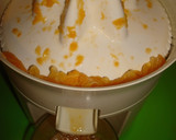 Foto del paso 1 de la receta: Coulis de mandarina
