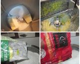 Foto del paso 1 de la receta: Bolos o bollos de arroz