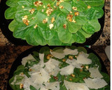 Foto del paso 2 de la receta: Ensalada de espinacas, con jamón ibérico, queso laminado y nueces