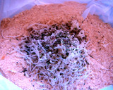 Foto del paso 5 de la receta: Berenjenas con miel de caña (versión light)