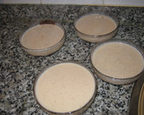 Foto del paso 3 de la receta: Flan de vainilla sin huevo