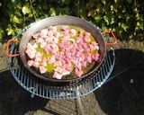 Foto del paso 1 de la receta: Perol cordobés