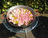 Foto del paso 1 de la receta: Perol cordobés