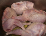 Foto del paso 1 de la receta: Codornices en salsa de almendras