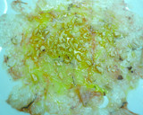 Foto del paso 5 de la receta: Carpaccio de gambas