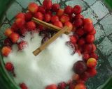 Foto del paso 2 de la receta: Cerezas ecológicas con aguardiente
