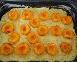Foto del paso 6 de la receta: Coca menorquina de albaricoques