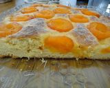 Foto del paso 7 de la receta: Coca menorquina de albaricoques