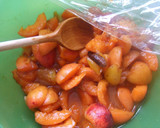 Foto del paso 4 de la receta: Mermelada de ciruelas con albaricoque al aroma de haba Tonka