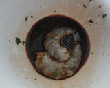 Foto del paso 2 de la receta: Cucharilla de langostinos picantes con mango
