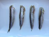 Anchoa en salsa verde