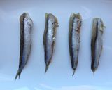 Foto del paso 2 de la receta: Anchoa en salsa verde