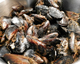 Foto del paso 1 de la receta: mejillones al vapor .