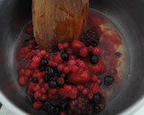 Foto del paso 2 de la receta: Salsa de frutos rojos para salados