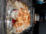 Bacalao con verduras gratinadas sin gluten