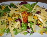 Foto del paso 4 de la receta: Ensalada de lechugas con atún en tomate