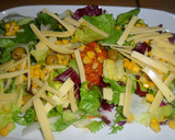 Foto del paso 4 de la receta: Ensalada de lechugas con atún en tomate