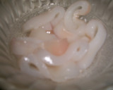 Foto del paso 3 de la receta: Calamares a la romana para celíacos