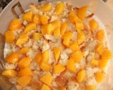 Foto del paso 4 de la receta: Pastel de queso y granada con melocotón