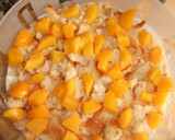 Foto del paso 4 de la receta: Pastel de queso y granada con melocotón