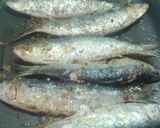 Foto del paso 2 de la receta: Sardinas a la plancha marinadas con flor de sal y especias