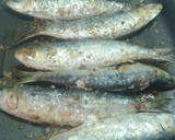Foto del paso 2 de la receta: Sardinas a la plancha marinadas con flor de sal y especias