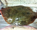 Foto del paso 4 de la receta: Rodaballo a la plancha