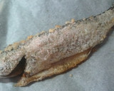 Foto del paso 3 de la receta: Lubina con Eneldo a la sal rosa del Himalaya