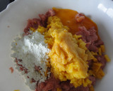 Foto del paso 2 de la receta: Albóndigas de pollo y pavo con mango