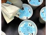 Postre de gelatina