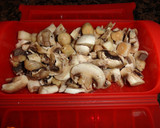 Foto del paso 1 de la receta: Champiñones en papillotte