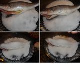 Foto del paso 2 de la receta: Lubina a la sal